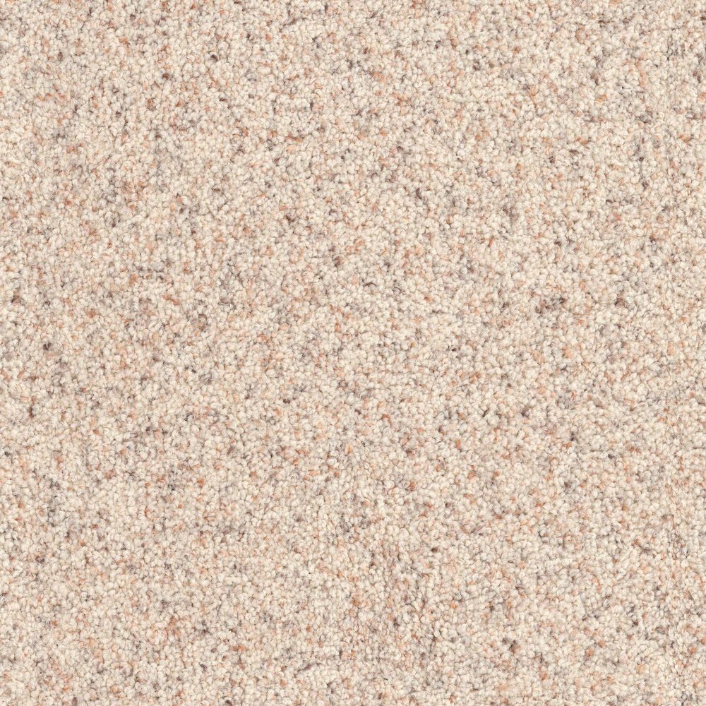 Dixie Home Bella Carpet in Pet, , large