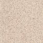 Dixie Home Bella Carpet in Pet, , large