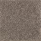 Mohawk Nature"s Elegance Carpet in Carpet in Silhouette, , large