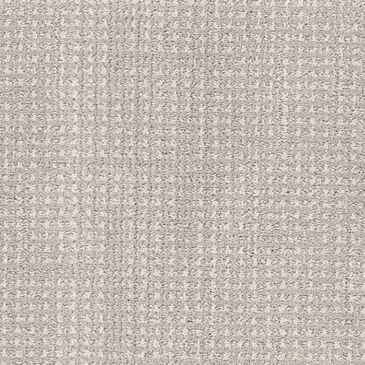 Dixie Home Feline Carpet in Tommaso, , large