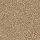 Shaw Easy Spirit I 12" Carpet in Tuscan Sun, , large