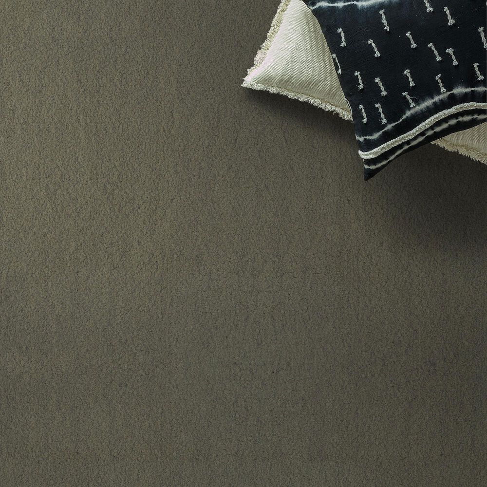 Anderson Tuftex Luxe Feel II Carpet in Bonsai, , large