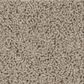 Shaw Del Morro Carpet in Agate, , large
