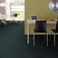 Shaw Find Your Comfort TT II Carpet in Hanging Vine, , large