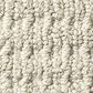Anderson Tuftex Truly Delightful Carpet in Hint of Gray, , large