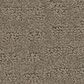 Shaw West Haven Carpet in Koala, , large