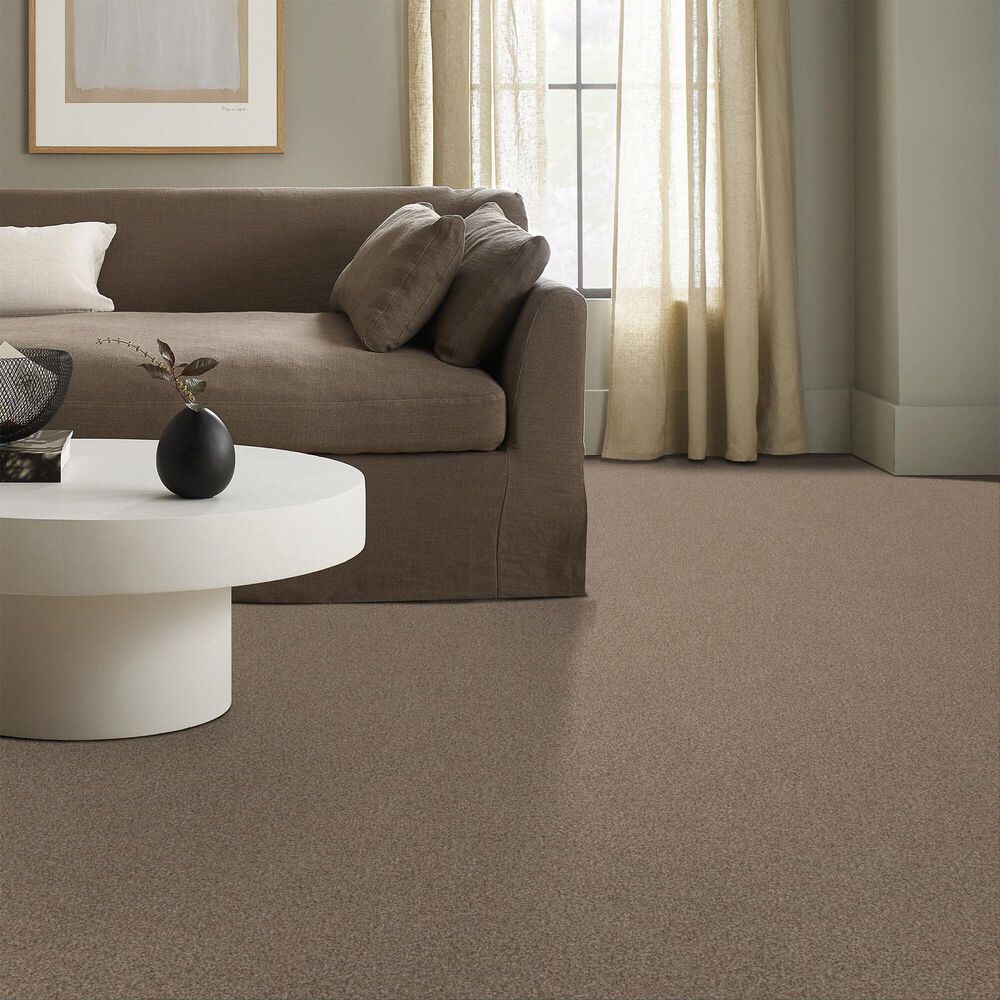 Anderson Tuftex Bossa Nova Carpet in Nutshell, , large