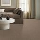 Anderson Tuftex Bossa Nova Carpet in Nutshell, , large