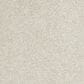 Anderson Tuftex Barracan Classic I Carpet in Cheviot, , large
