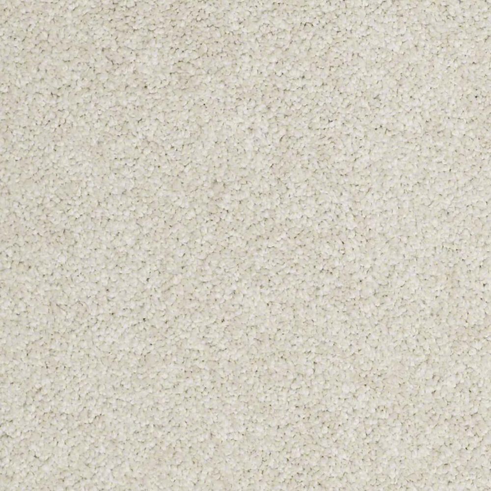 Anderson Tuftex Barracan Classic I Carpet in Cheviot, , large