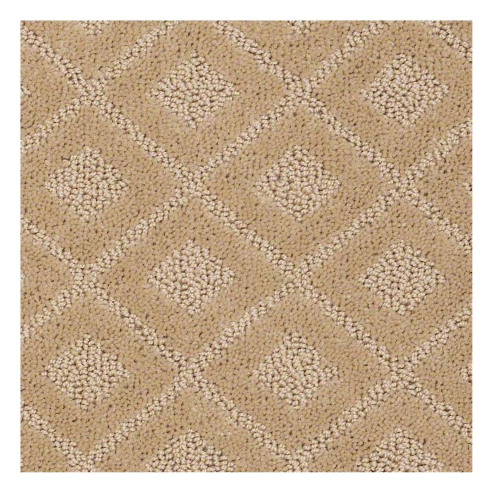 Anderson Tuftex Can't Stop Me Carpet in Chamois, , large