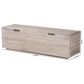 Baxton Studio Alvaro Storage Trunk with Hinged Lid in White Wash, , large