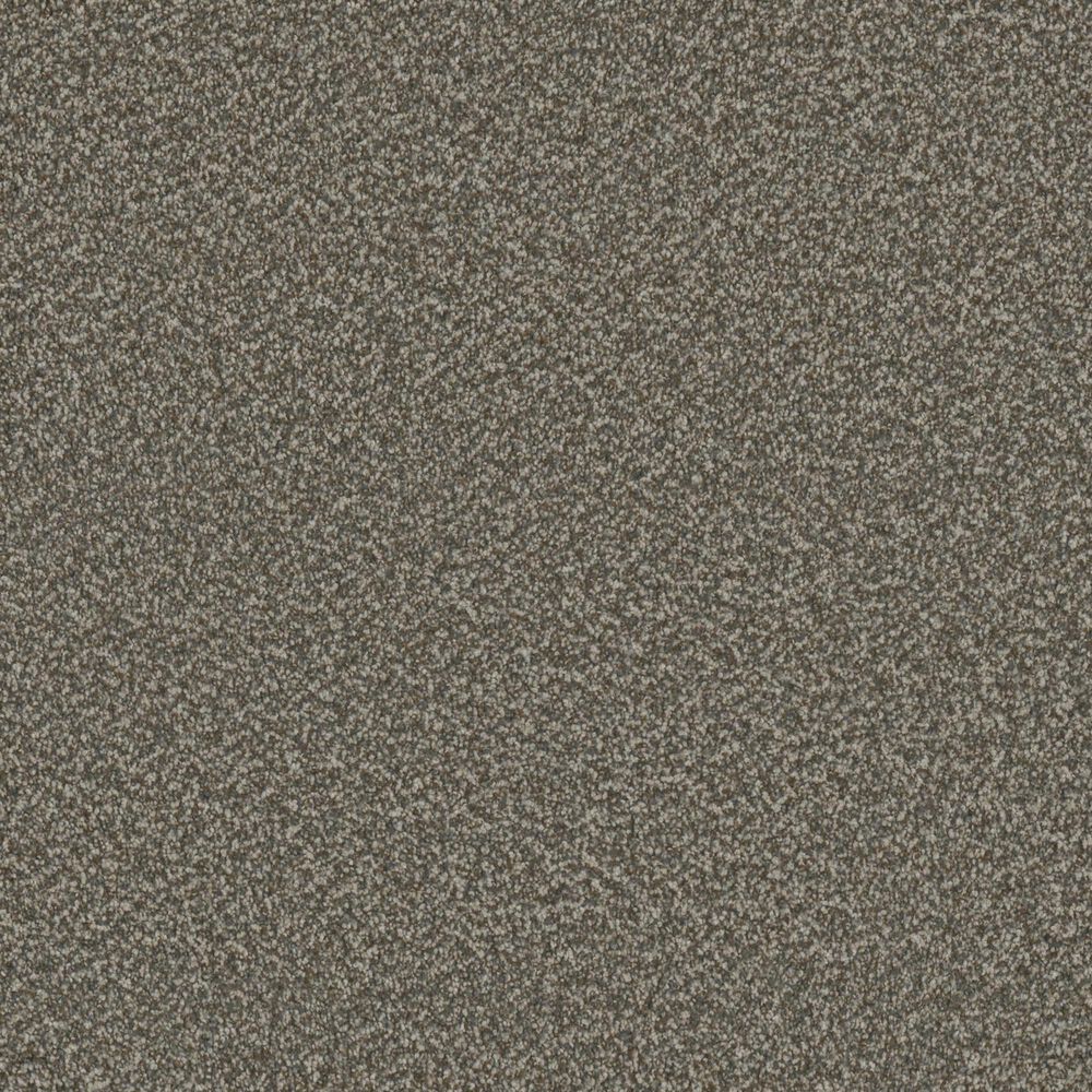 Phenix Vista Gold Carpet in Highland, , large