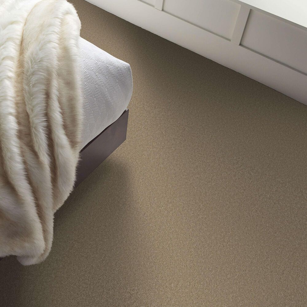 Shaw Way To Go III Carpet in Hidden Treasure, , large