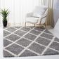 Safavieh Venus Shag VNS681J 4" x 6" Grey and Ivory Area Rug, , large