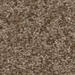 Shaw You Got This I Carpet in Mission Ridge, , large