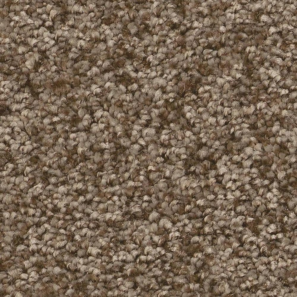 Shaw You Got This I Carpet in Mission Ridge, , large