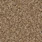 Anderson Tuftex Wyndham Estate Carpet in Toasty, , large