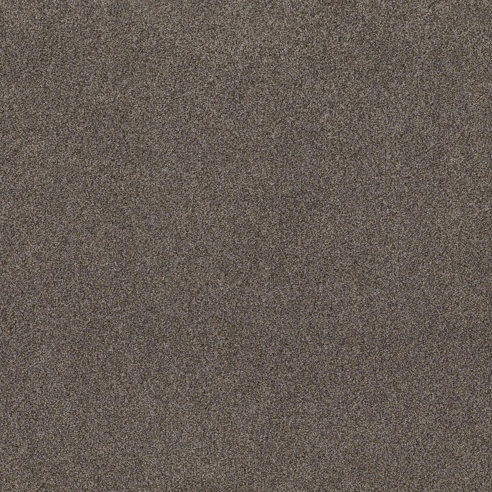 Shaw Aurora Sky Carpet in Woodcliff Brown, , large