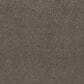 Shaw Aurora Sky Carpet in Woodcliff Brown, , large