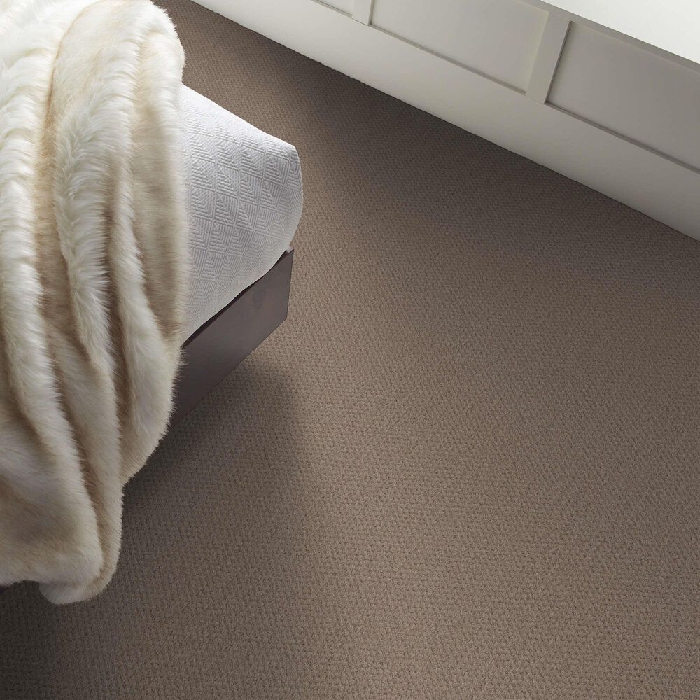 Shaw Austin Park Carpet in Pure Earth, , large