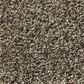 Shaw Tonal Comfort I Carpet in Summer House, , large
