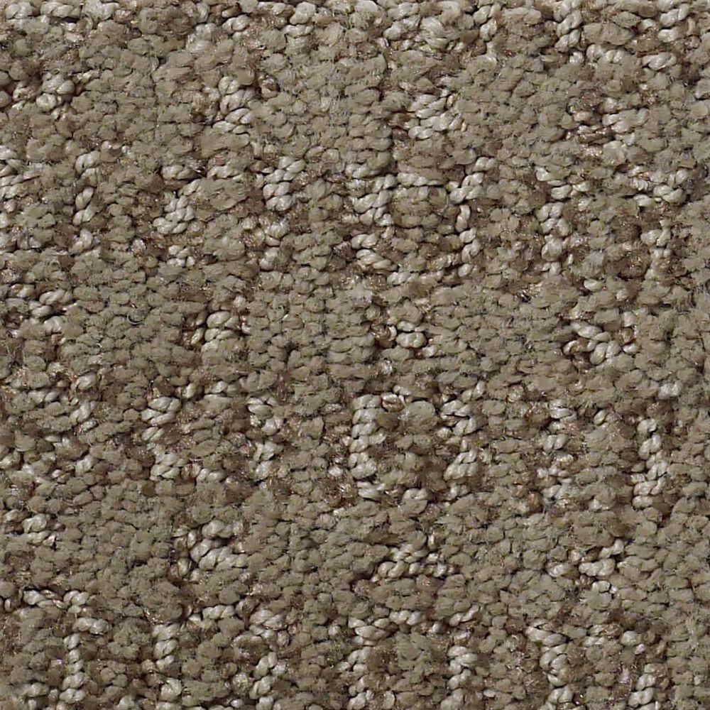 Philadelphia Caress Luxe Classic Carpet in Tibetan Plateau , , large