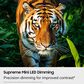 Samsung 43" Class M70H Mini LED 4K UHD Vision AI in Black - Smart TV, , large