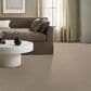 Anderson Tuftex Kit Carpet in Blonde, , large