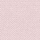 Masland Festivities Carpet in Amour, , large