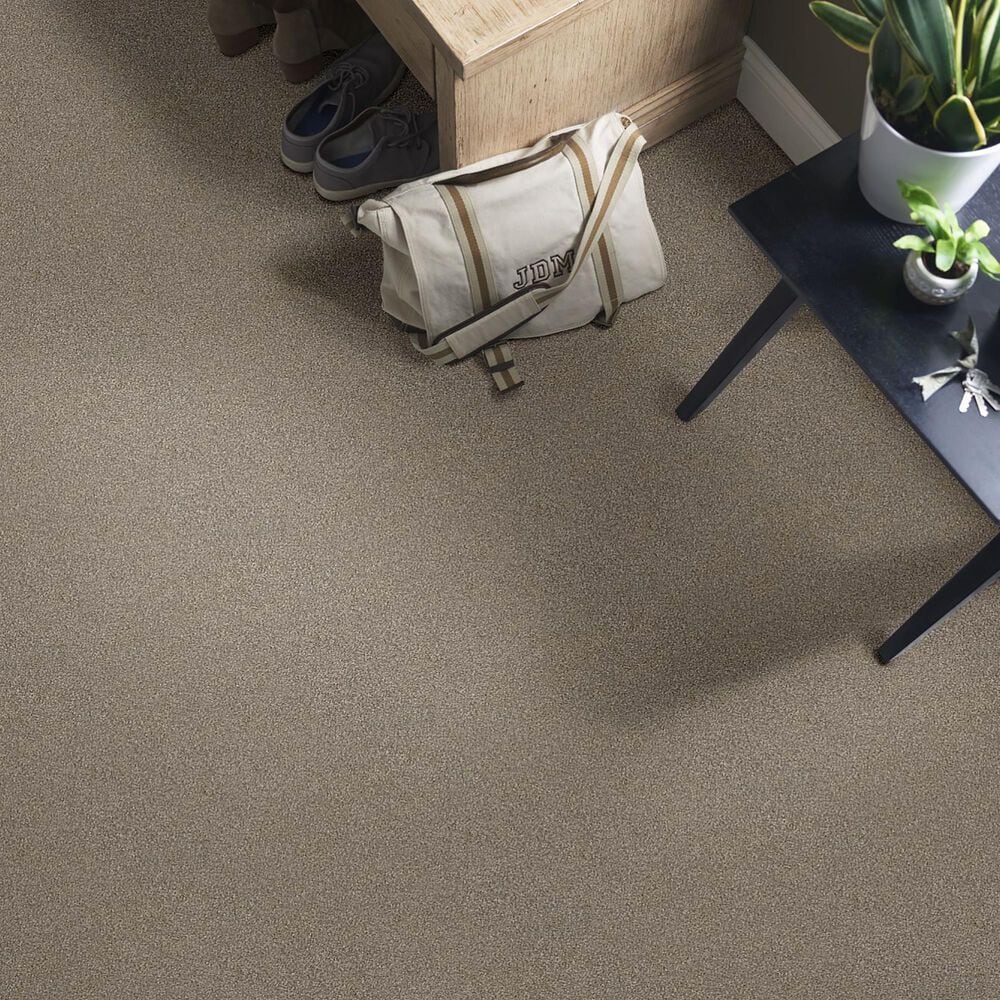 Shaw Simply the Best Montage II Carpet in Midtown Brown, , large