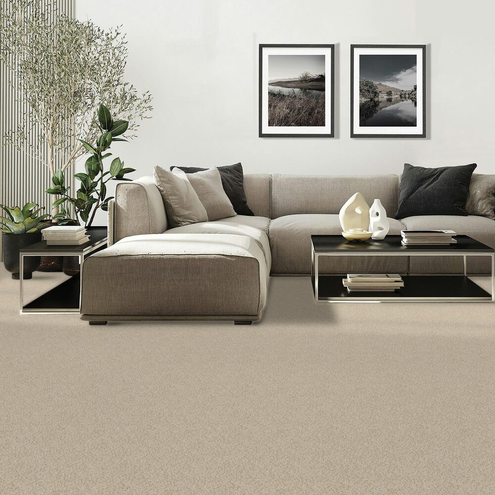 Mohawk Diffurent Choice III Carpet in Frosted Almond, , large