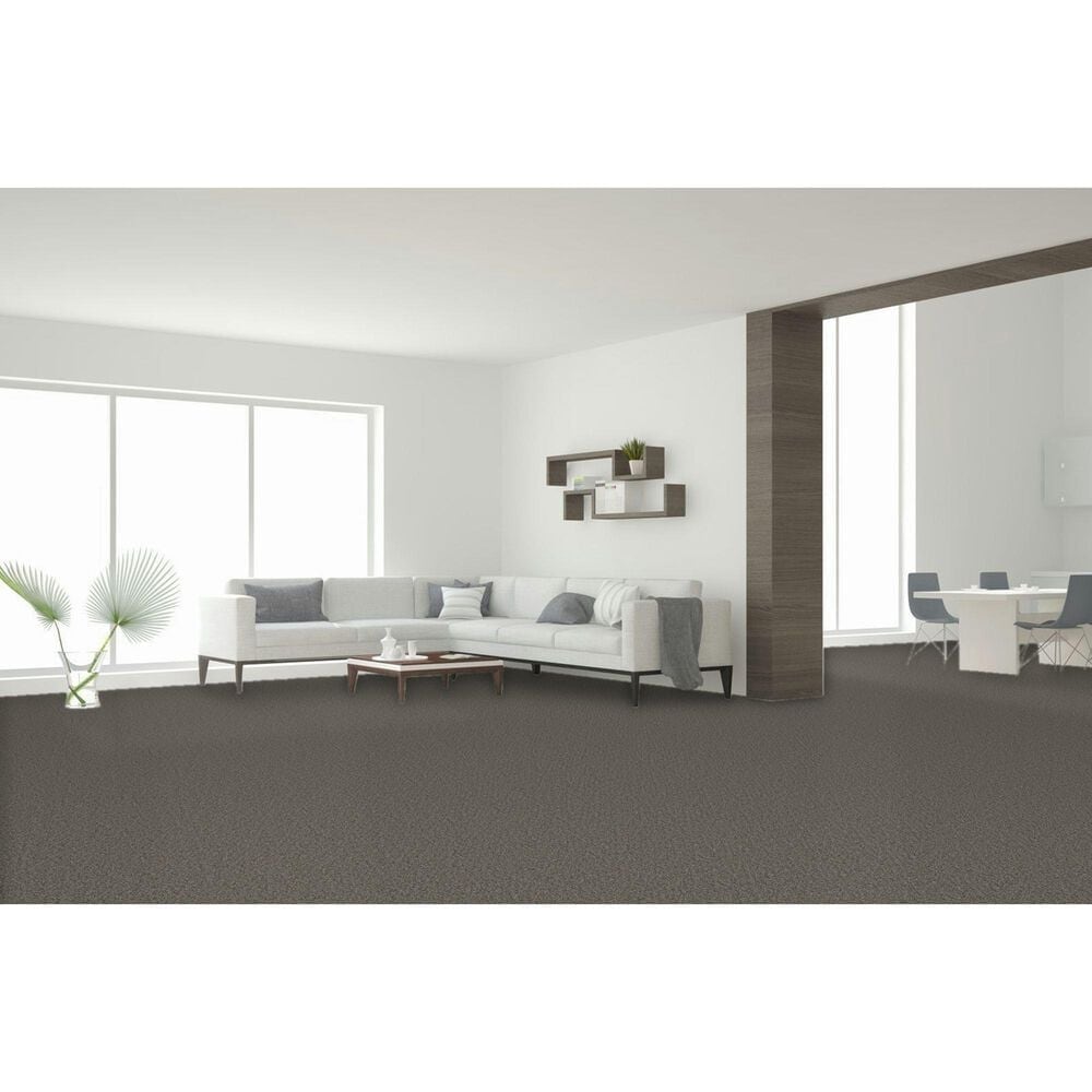 Dream Weaver Royale II Carpet in Dogwood, , large