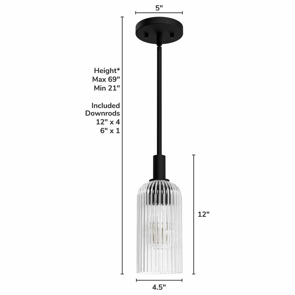 Hunter Beverly Glen Jasmine Roth 1-Light Mini Pendant in Matte Black, , large