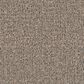 Marquis Caress Carpet in Summerwood, , large