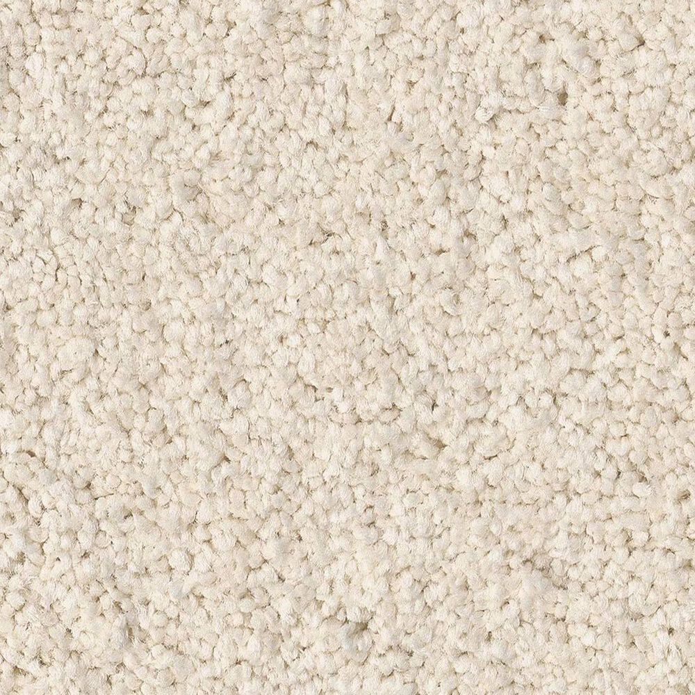 Anderson Tuftex Enchanting Carpet in Angora, , large