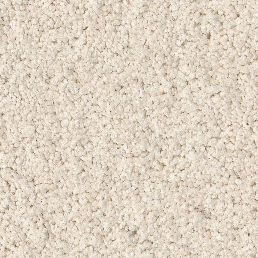 Anderson Tuftex Enchanting Carpet in Angora, , large