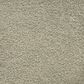 Masland Roadster Carpet in Amazing, , large