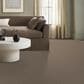Shaw You Got This II Carpet in Cameo, , large