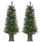 The Gerson Company Sterling 4" Potted Hard Needle/Cashmere Tree with 70 UL White Lights (Set of 2), , large