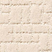 loop or patterned carpet