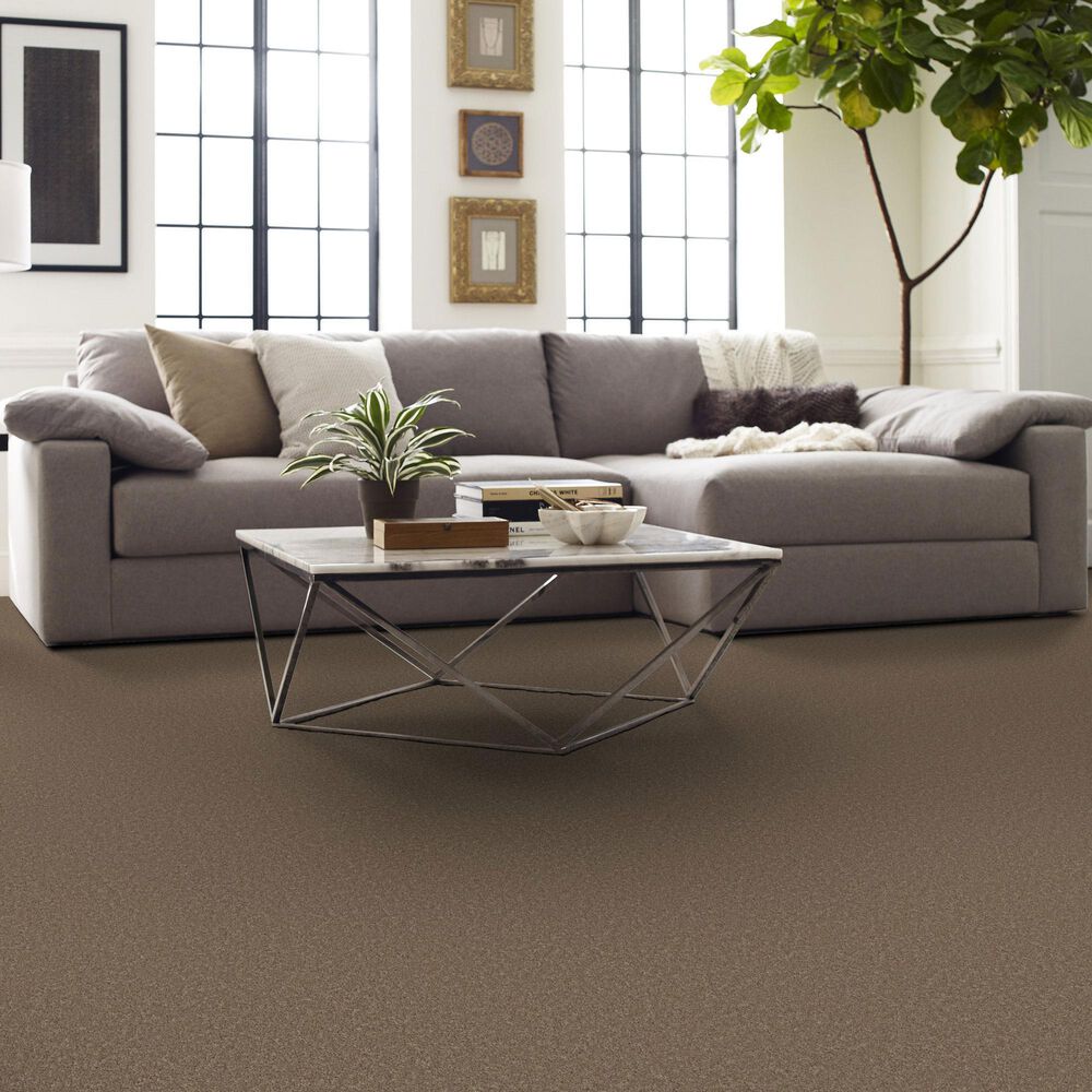 Shaw New Memories S Carpet in Landmark, , large