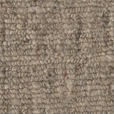 Anderson Tuftex Sensate Carpet in Zen, , large