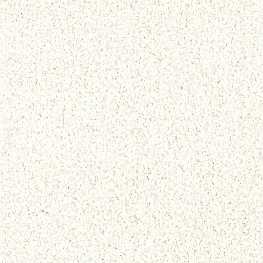 Dixie Home Big Splash Carpet in Beach, , large