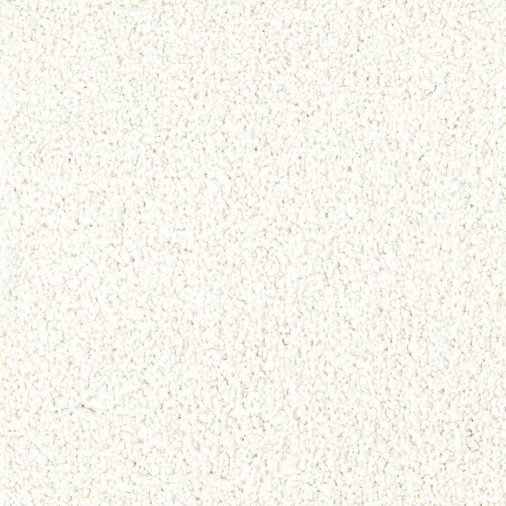 Dixie Home Big Splash Carpet in Beach, , large
