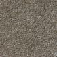 Shaw Luxuriant Carpet in Mockingbird, , large