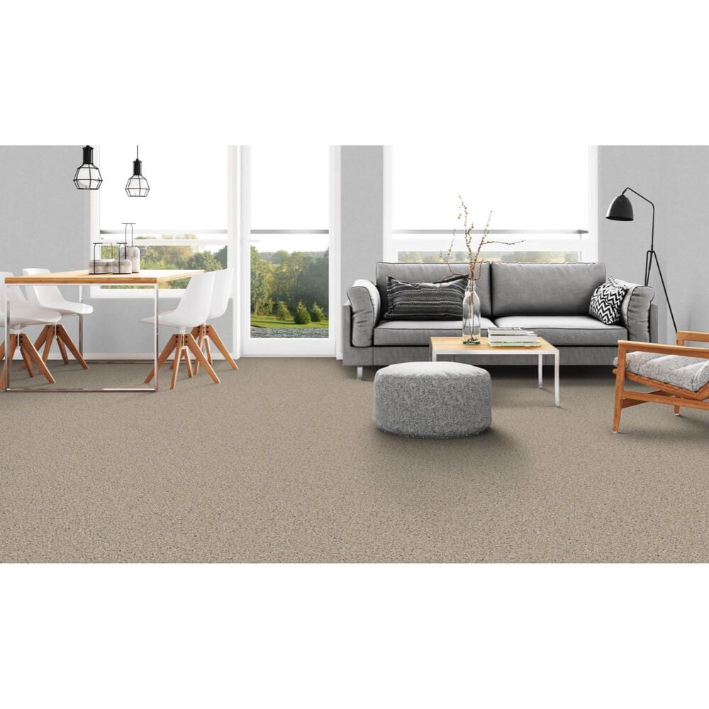 Dixie Home Devotion Carpet in Cork, , large