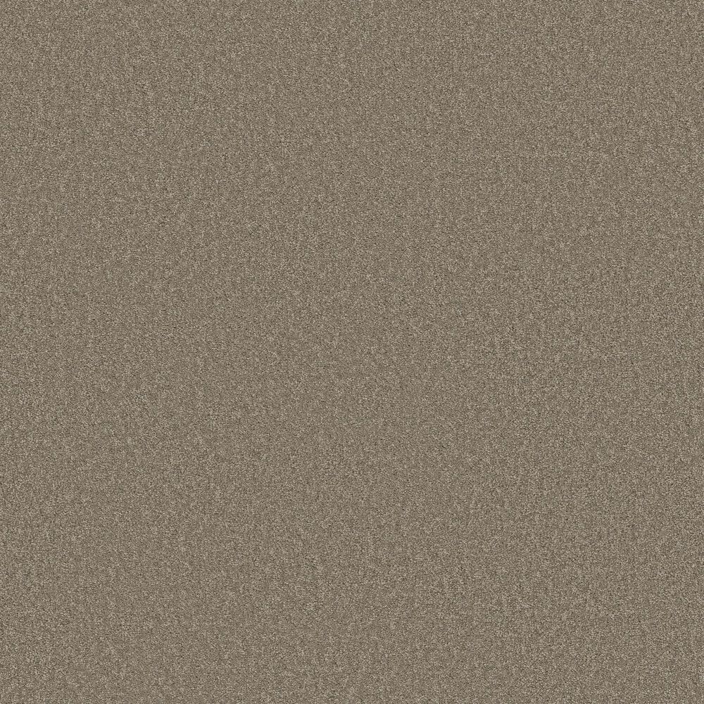 Shaw Las Cruces Carpet in Barn Wood, , large