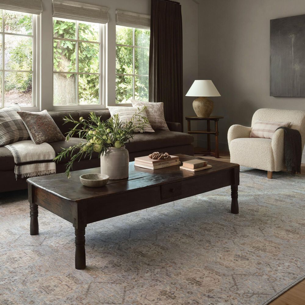 Amber Lewis x Loloi ZUM-05 Zuma Silver/ Multi Area Rug, , large