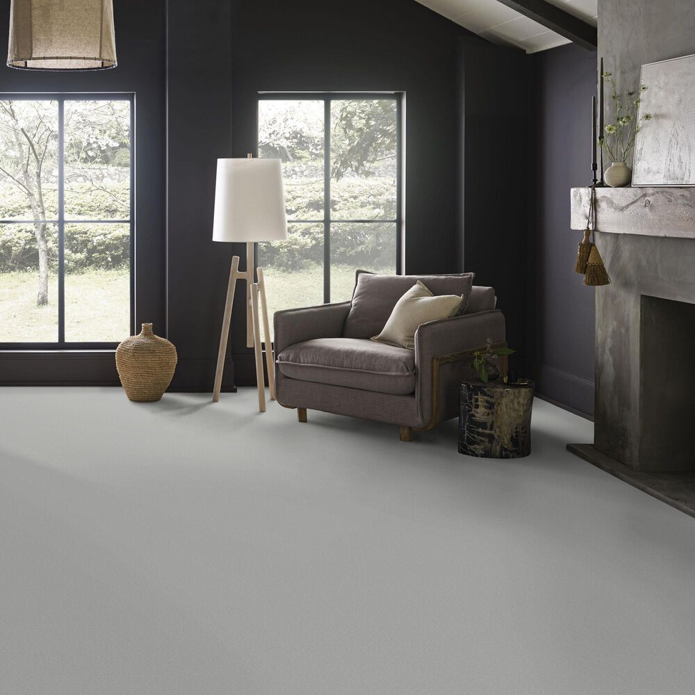 Anderson Tuftex Finery Carpet in Rain Dance, , large
